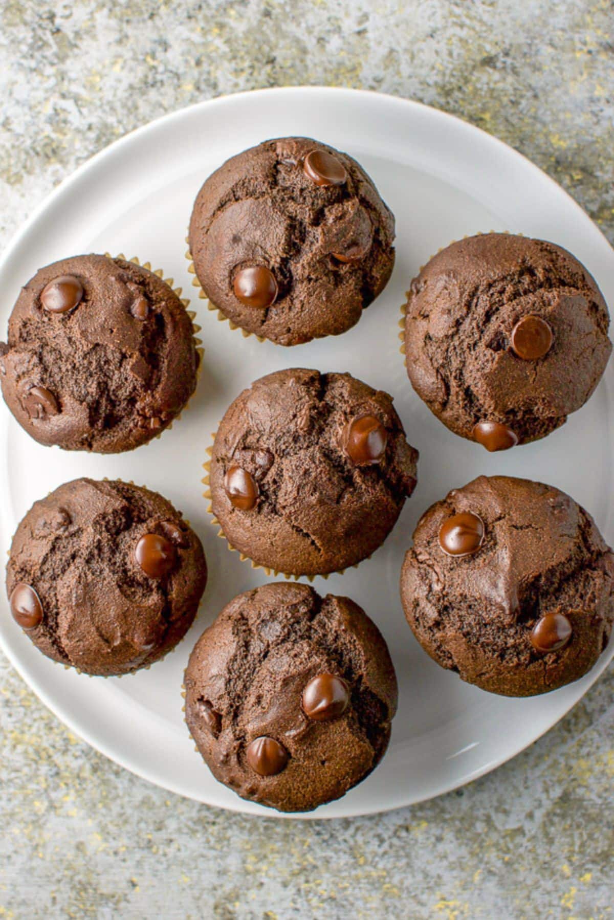 A white plate with seven chocolate muffins on it