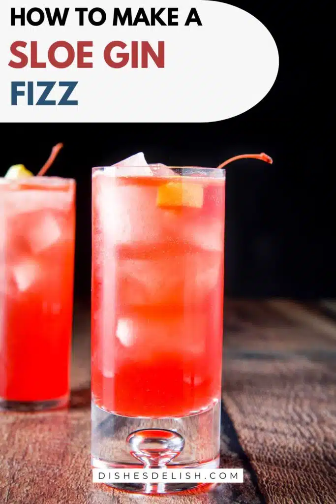 sloe gin fizz pin