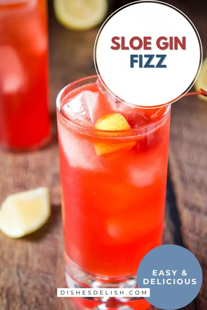 sloe gin fizz pin 6