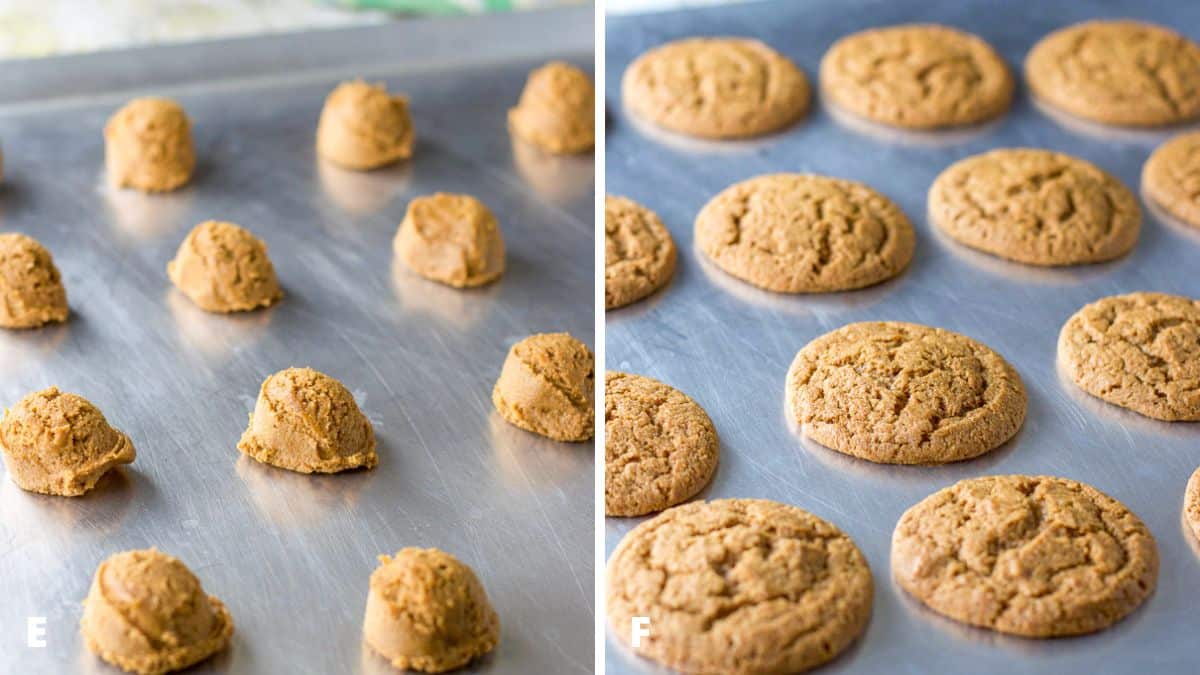 Left - dough balls on a cookie sheet. Right - cookies done baking but still on cookie sheet