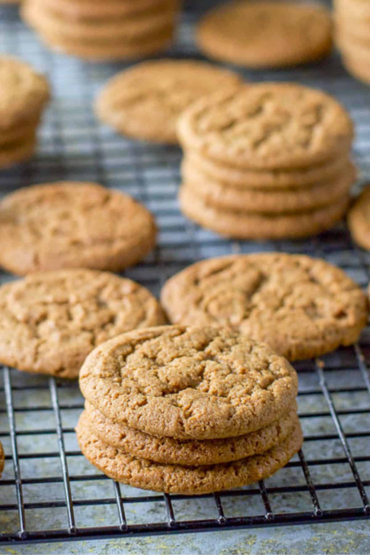 All the molasses cookies on a wire rack, some in piles and others singular