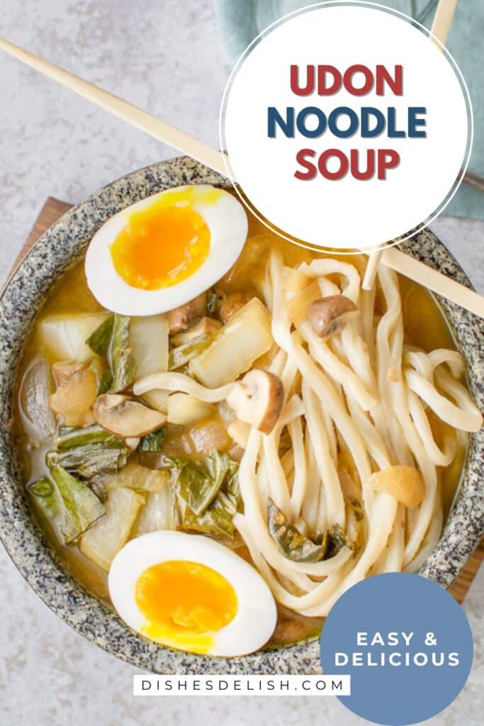udon noodle soup pin 8