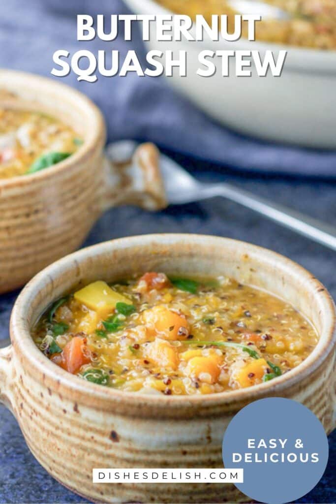 butternut squash stew pin 3