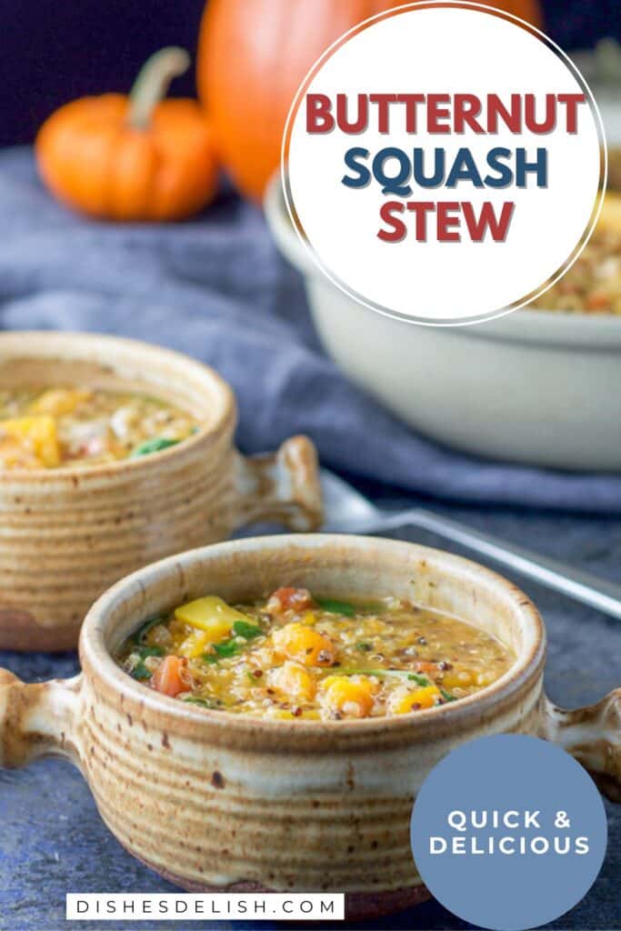 butternut squash stew pin 4