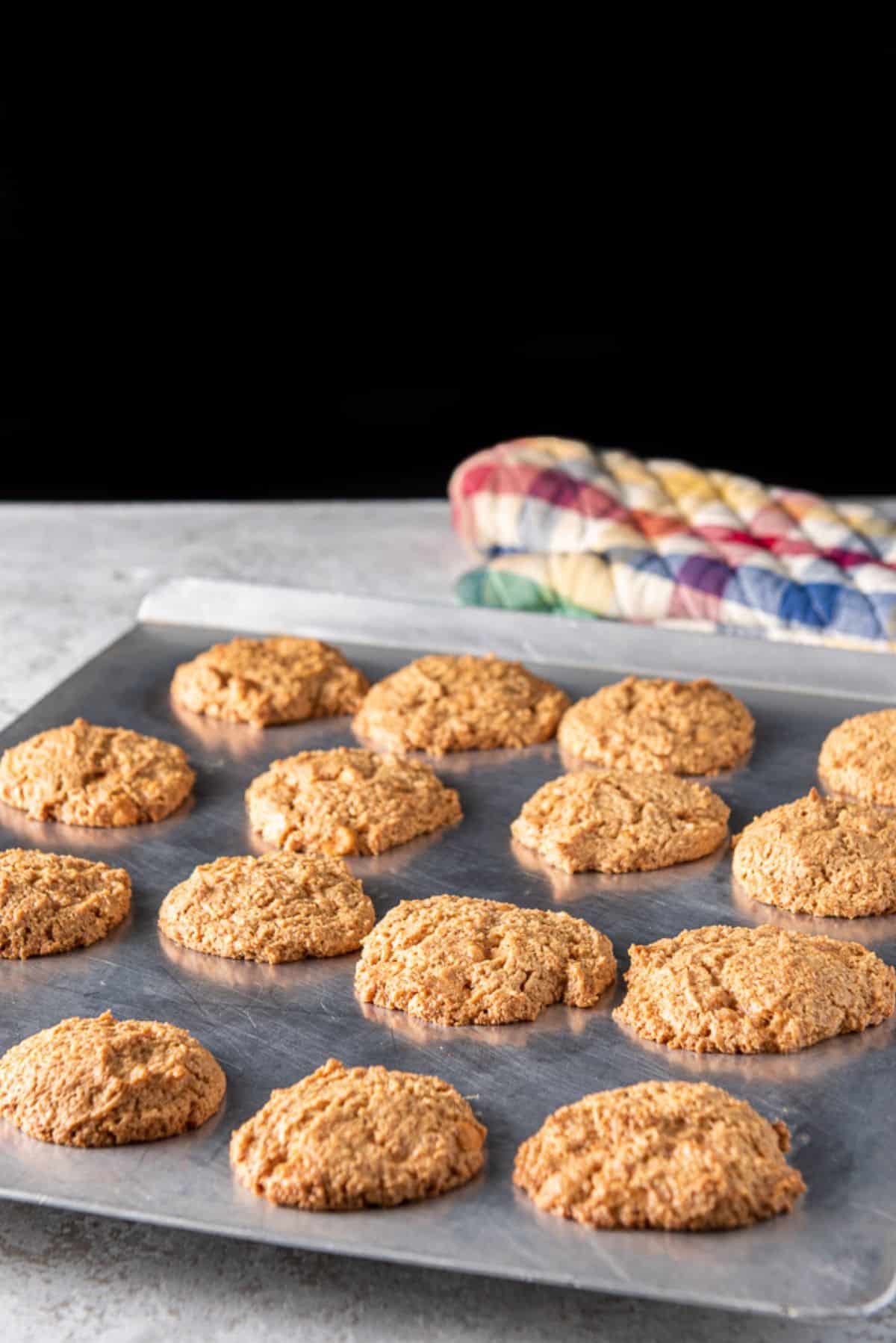 Freshly baked cookies out of the oven and still on the cookie sheet