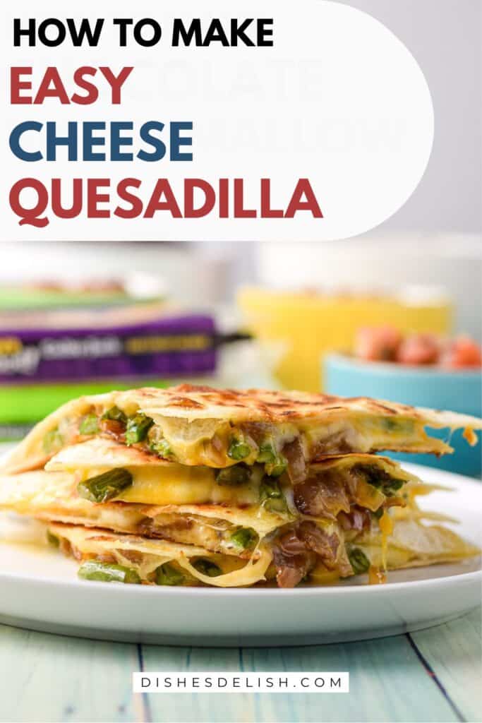 cheese quesadilla pin
